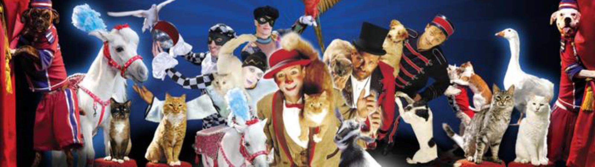 Popovich Comedy Pet Theater